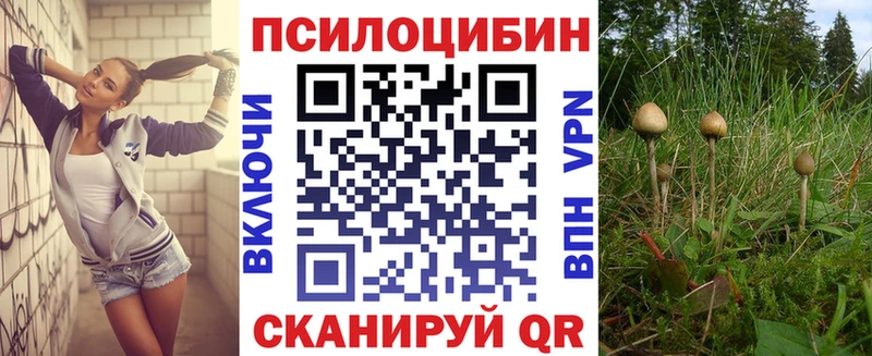 Псилоцибиновые грибы мухоморы Магадан